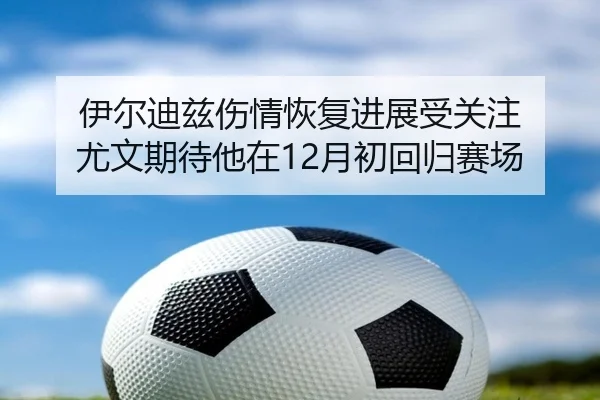伊尔迪兹伤情恢复进展受关注 尤文期待他在12月初回归赛场